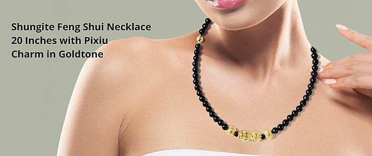 Shungite Feng Shui Necklace 20 Inches with Pixiu Charm in Goldtone Banner