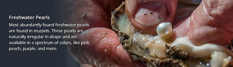 Solitaire Studs Banner