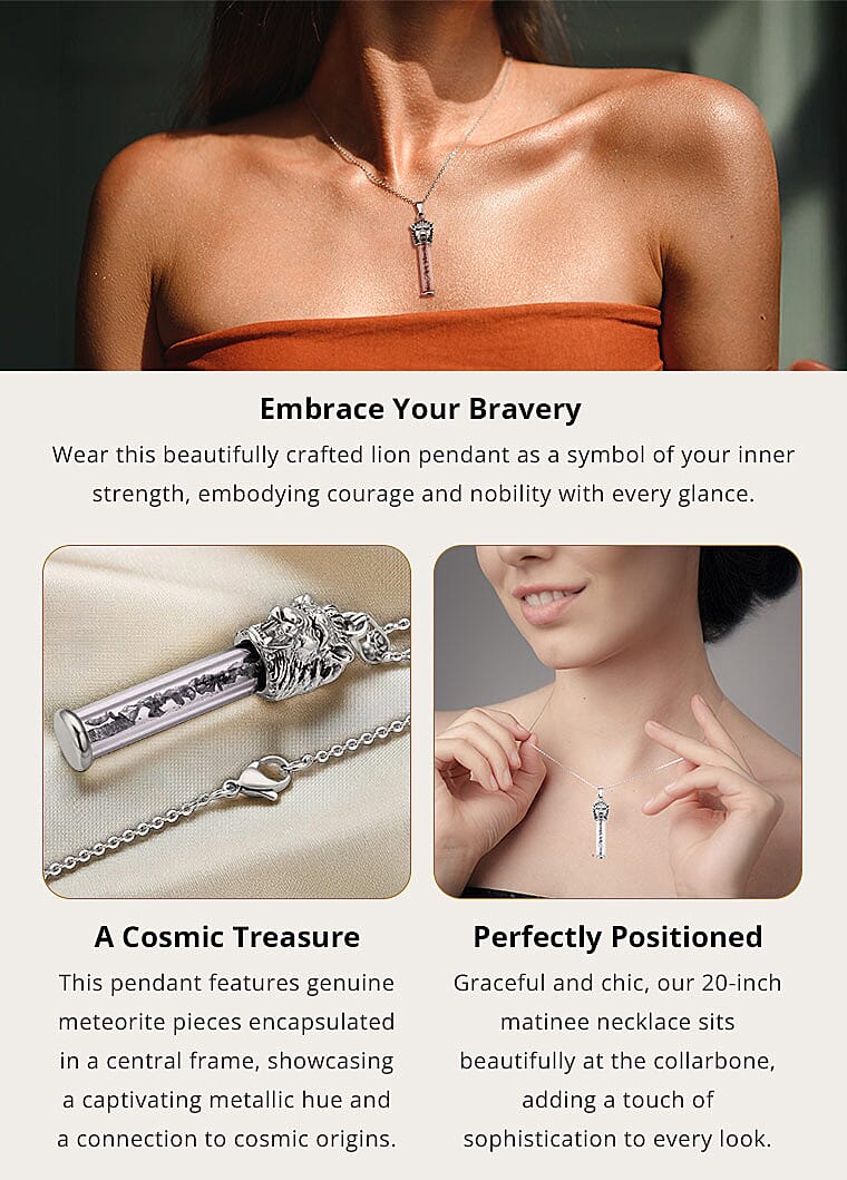 Marvelous Meteorite Lion Head Design Pendant Necklace in Stainless Steel Banner