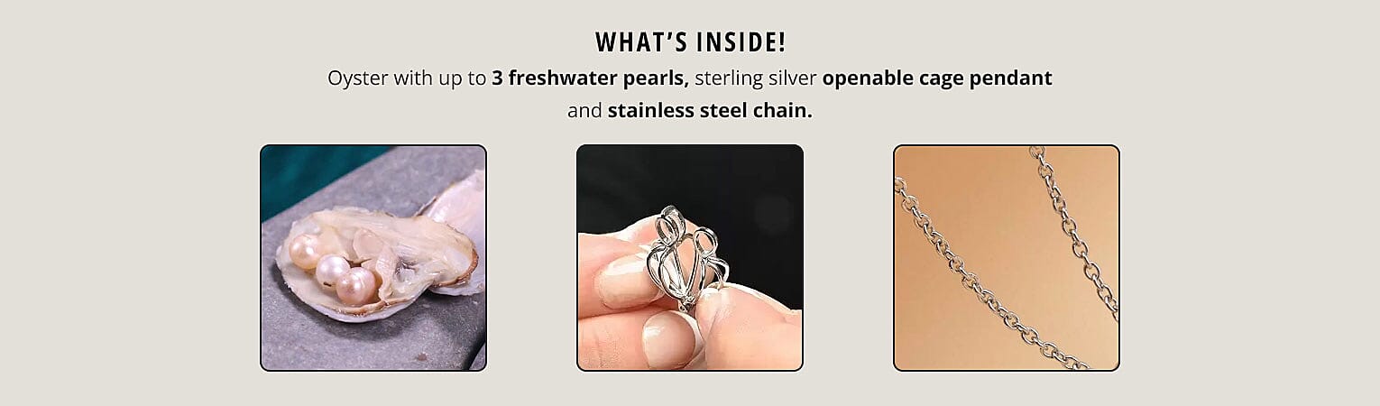 What’s Inside! Banner