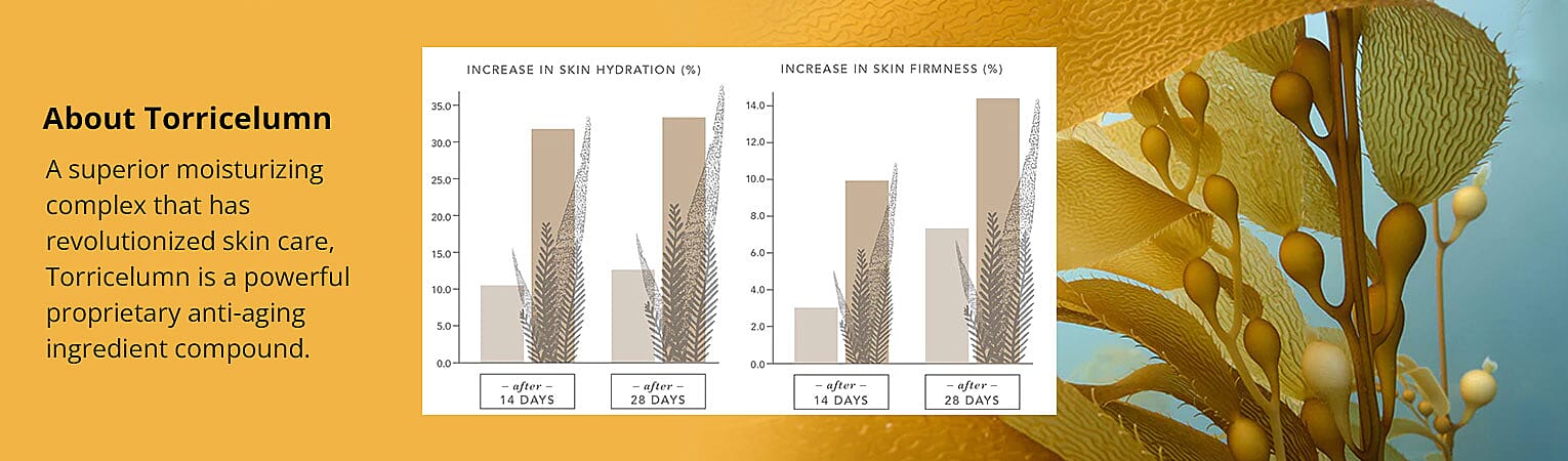 About Torricelumn Banner
