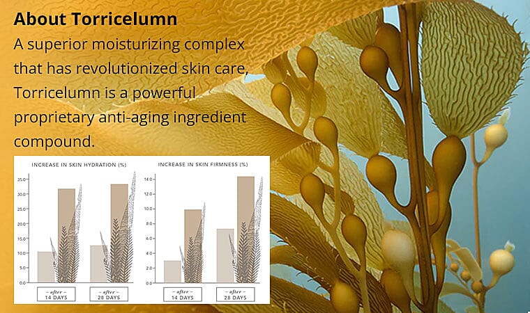 About Torricelumn Banner