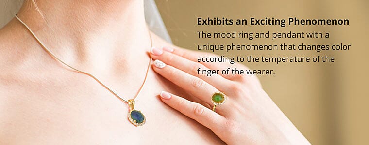 Exhibits an Exciting Phenomenon Banner