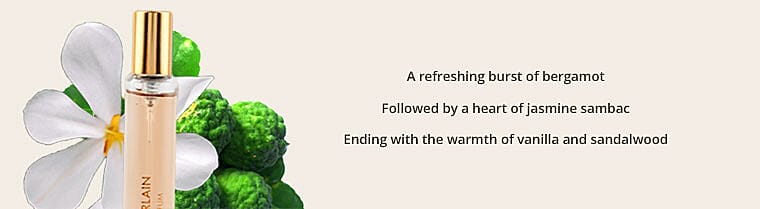 Attractive Neckline  Banner