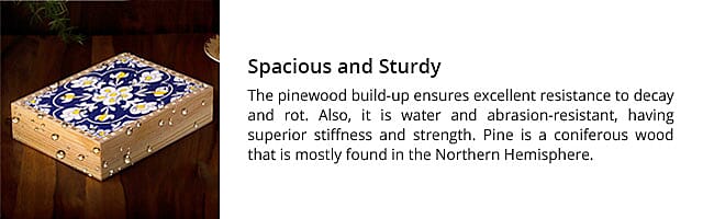 Spacious and Sturdy  