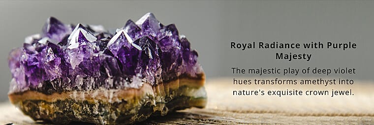 Royal Radiance  Banner