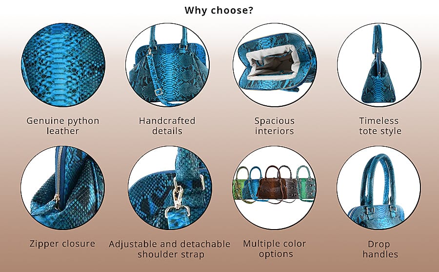 Scale Up Your Style Banner