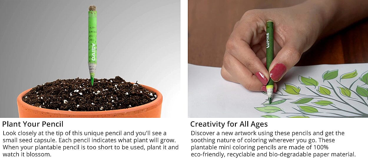 PH CICA Cleansing Oil Banner