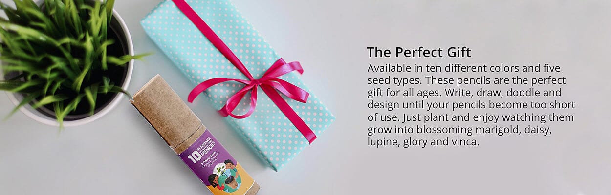 PH CICA Cleansing Oil Banner