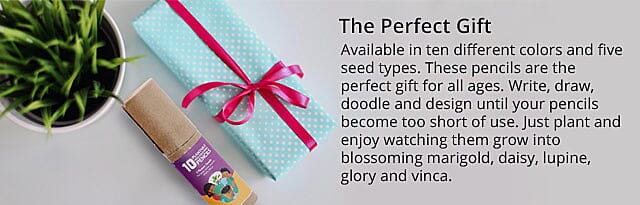 PH CICA Cleansing Oil Banner