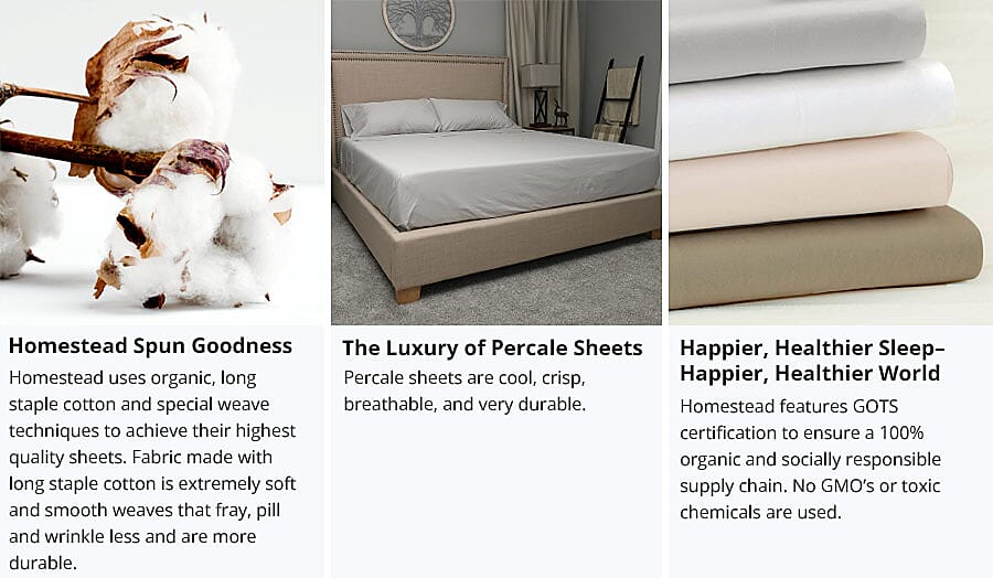 Homestead Spun Goodness Banner