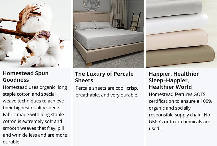 Homestead Spun Goodness Banner