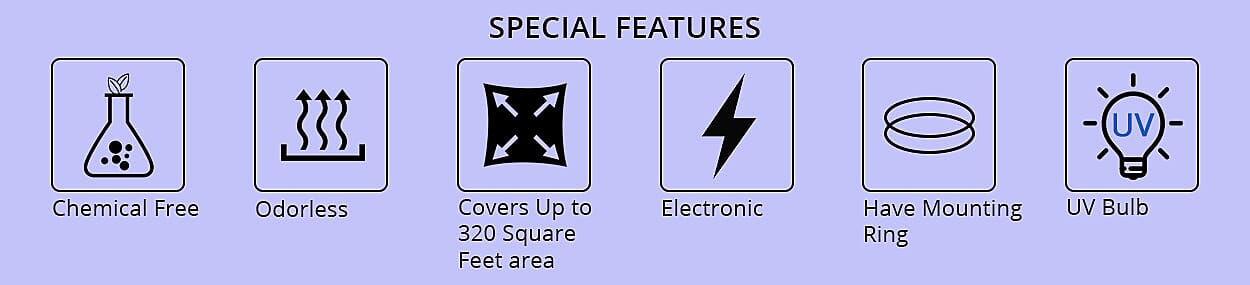 Special Features Banner