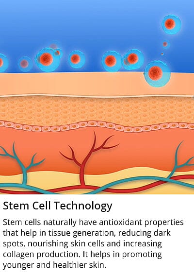 Stem Cell Technology