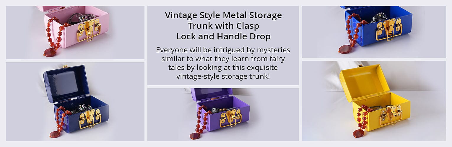 Vintage Style Metal Storage Trunk with Clasp Lock and Handle Drop Banner