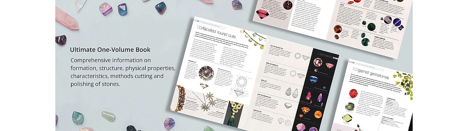 Interesting Facts Banner