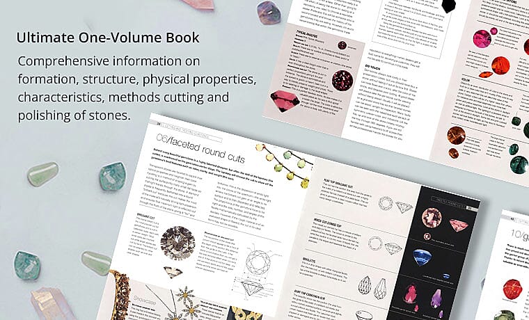 Interesting Facts Banner