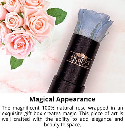 PH CICA Cleansing Oil Banner