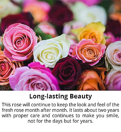 PH CICA Cleansing Oil Banner