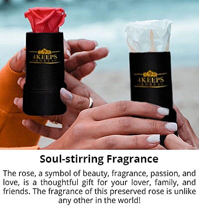 PH CICA Cleansing Oil Banner