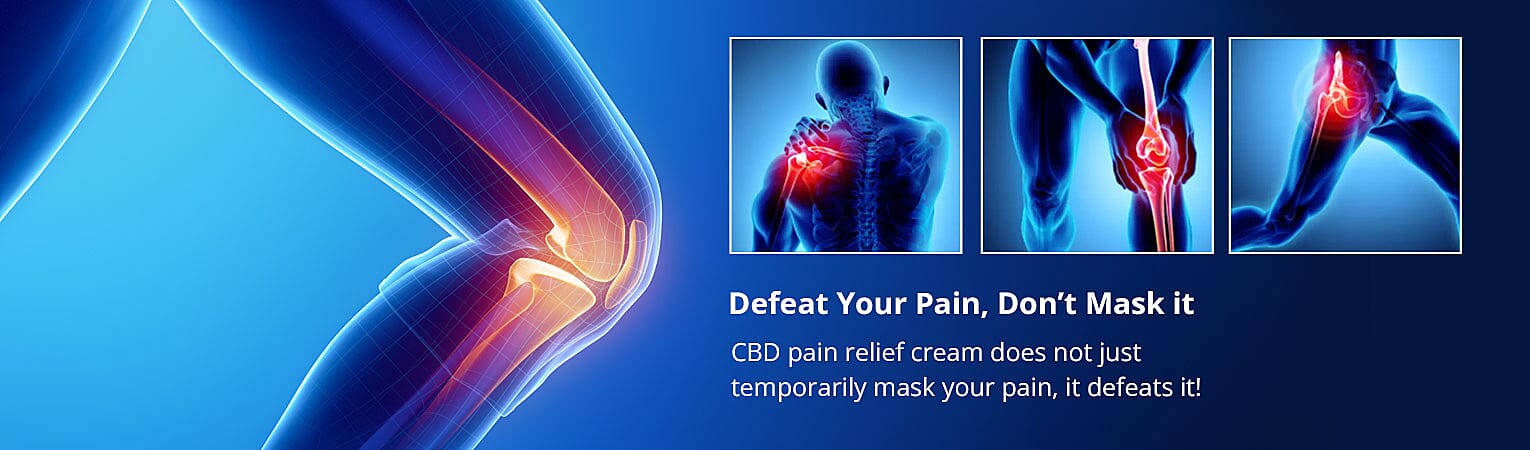 Defeat Your Pain, Don’t Mask it Banner