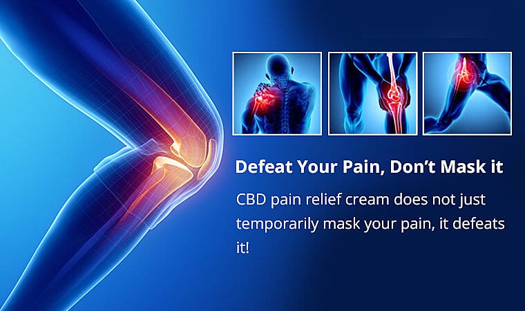 Defeat Your Pain, Don’t Mask it Banner