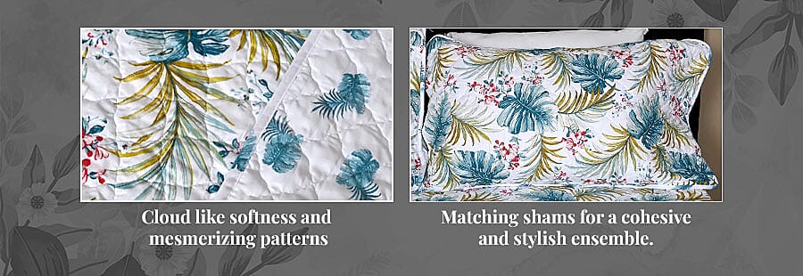 Cloud-Like Softness Banner