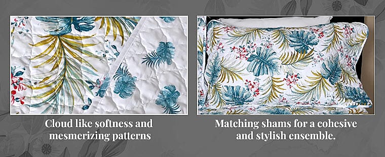 Cloud-Like Softness Banner