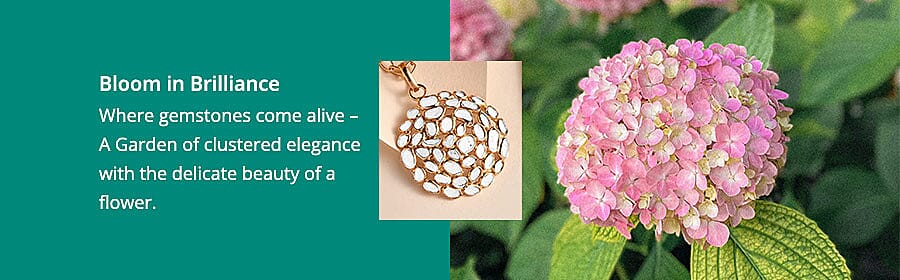 Bloom in Brilliance Banner