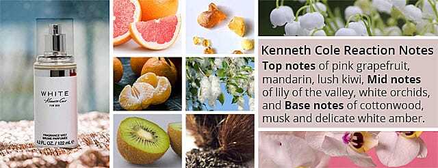 Kenneth Cole Reaction Notes