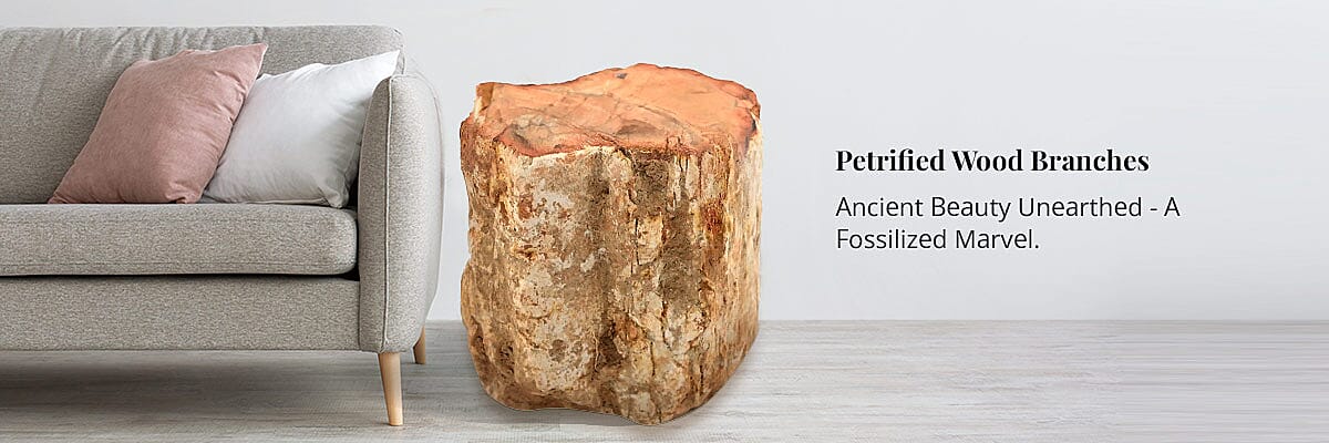 Petrified Wood Branches Banner