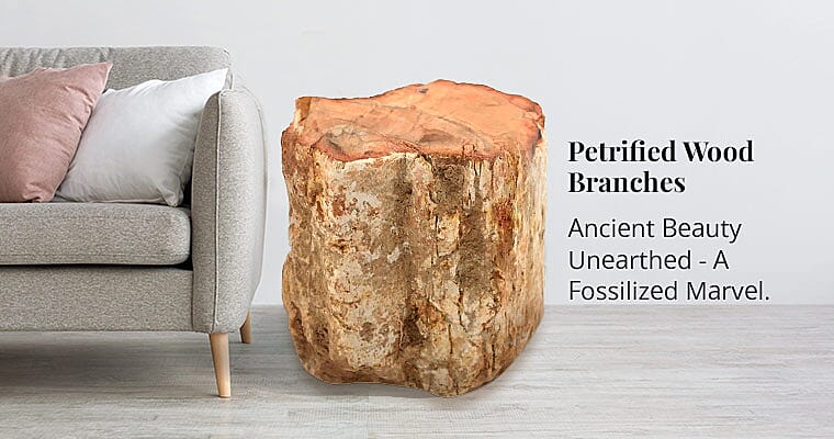 Petrified Wood Branches Banner