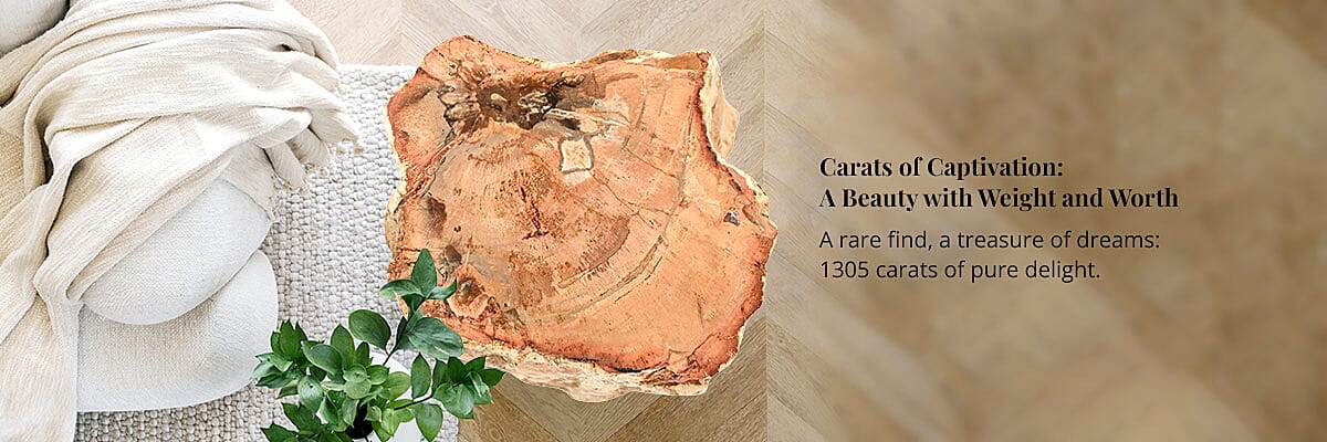 Carats of Captivation: A Beauty with Weight and Worth Banner