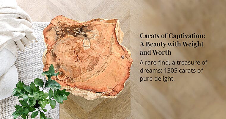 Carats of Captivation: A Beauty with Weight and Worth Banner
