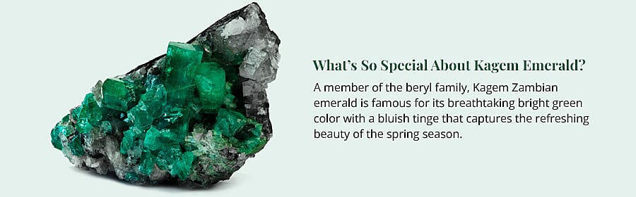 Nature’s Radiance at Your Earlobes Banner