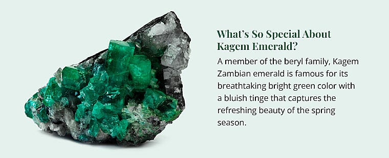 Nature’s Radiance at Your Earlobes Banner