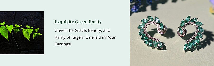 Unleashing Contrasting Beauty Banner