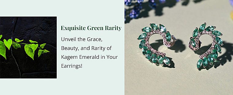 Unleashing Contrasting Beauty Banner