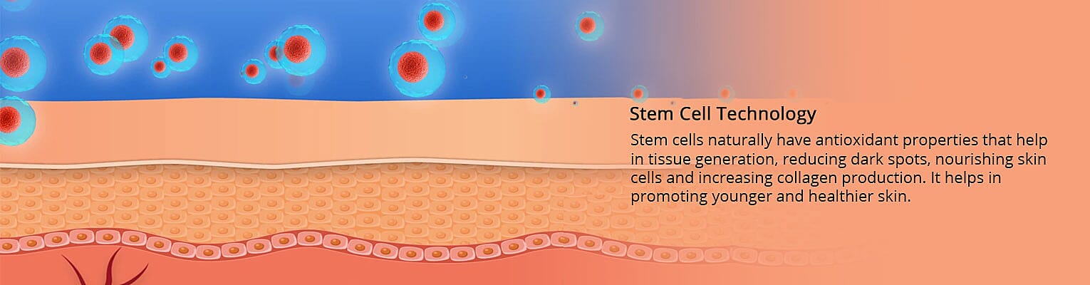 Stem Cell Technology