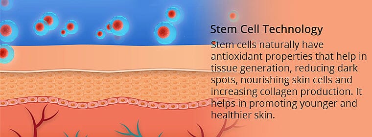 Stem Cell Technology