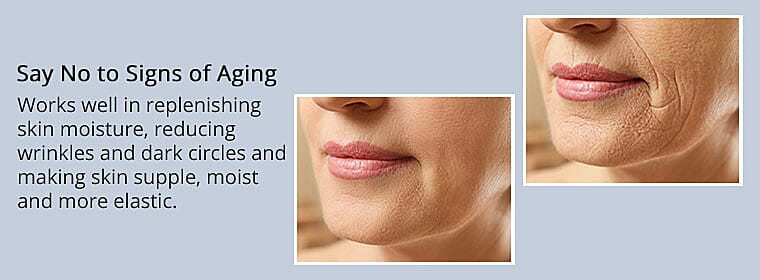 Convenient and Functional