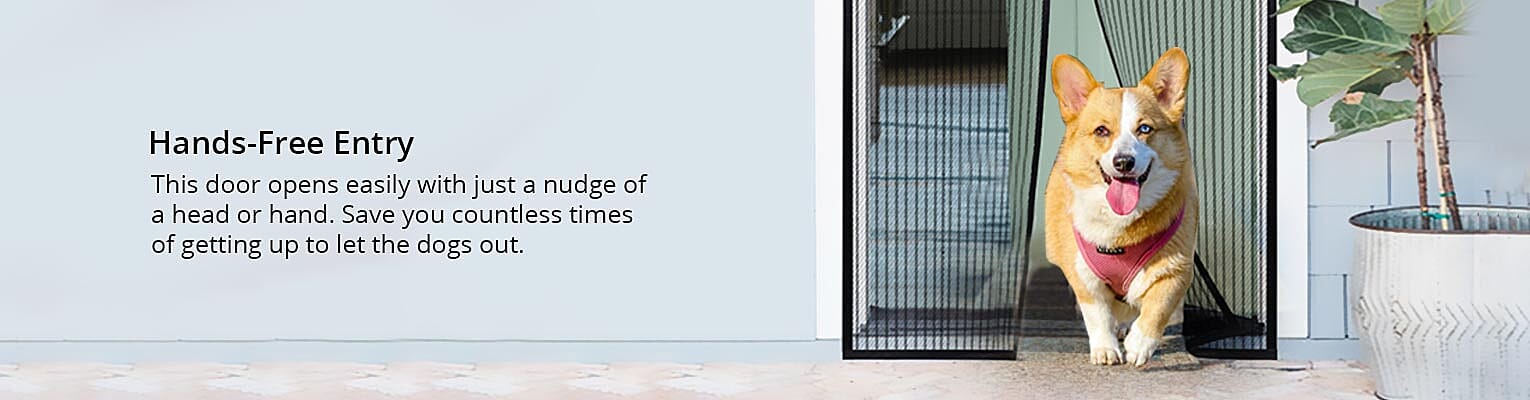 Minimizes Bugs Entrance Banner