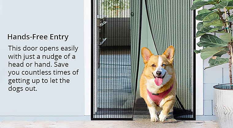 Minimizes Bugs Entrance Banner