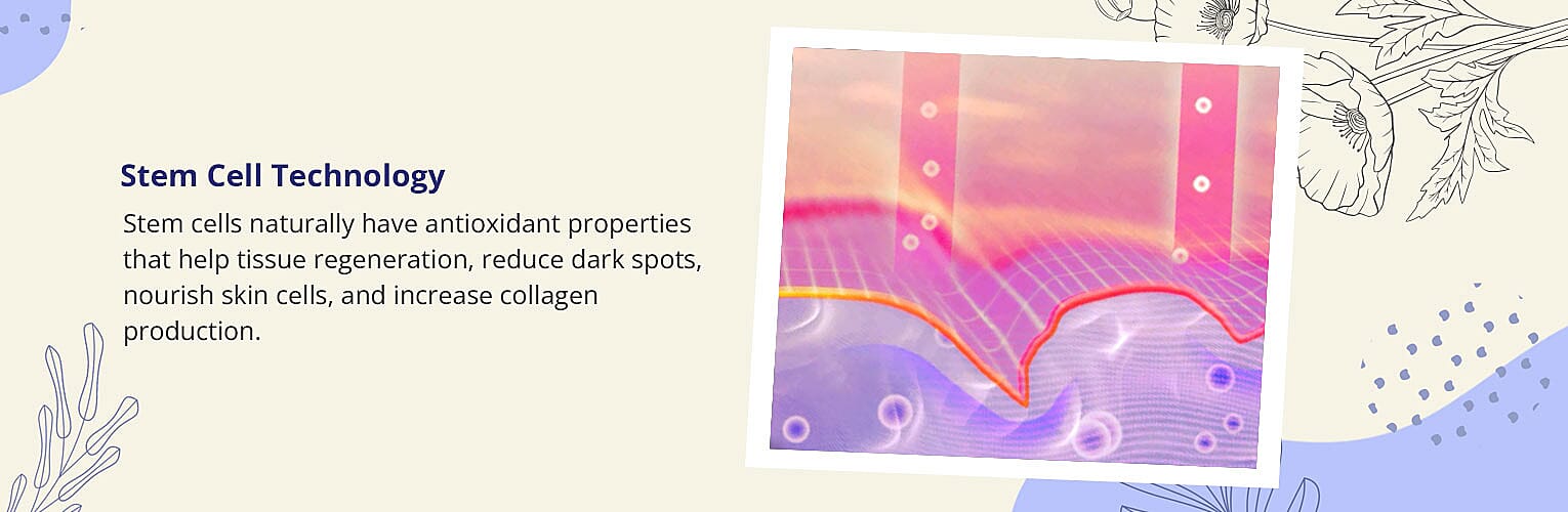 Stem Cell Technology Banner