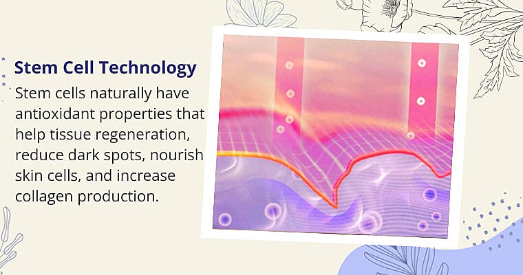 Stem Cell Technology Banner