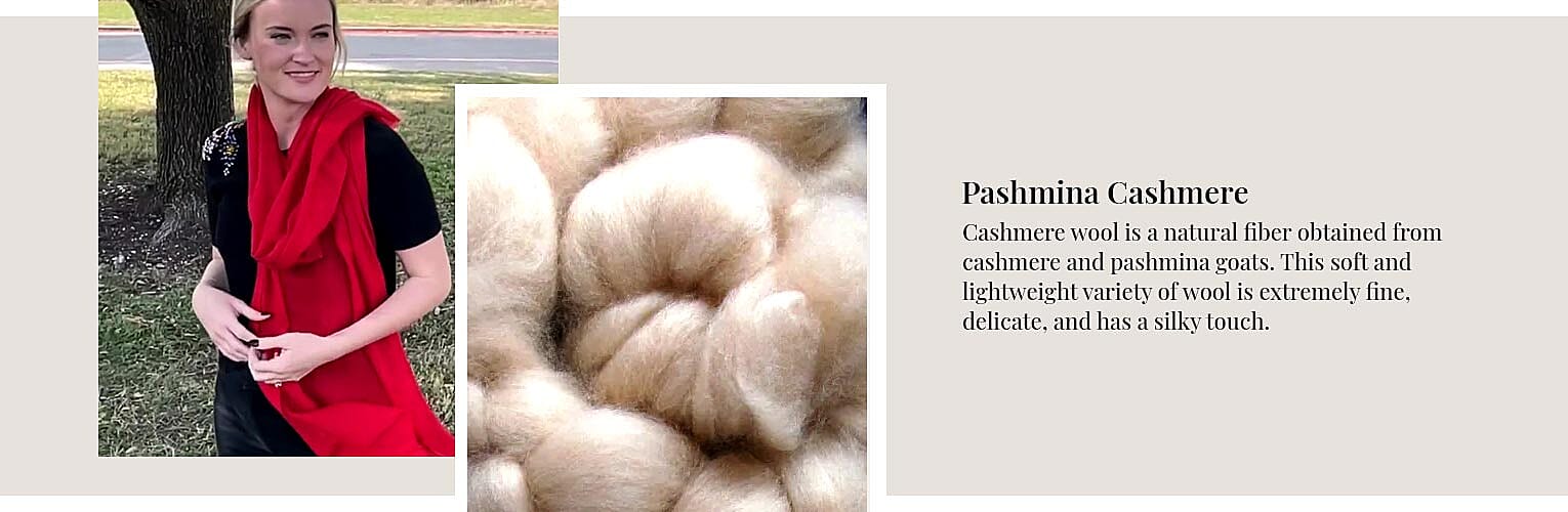 Pashmina Cashmere