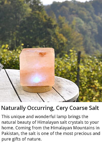 Built-in Ionizer and Whisper Quiet Operation