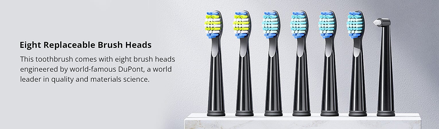 A Toothbrush for Everyone Banner