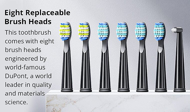 A Toothbrush for Everyone Banner