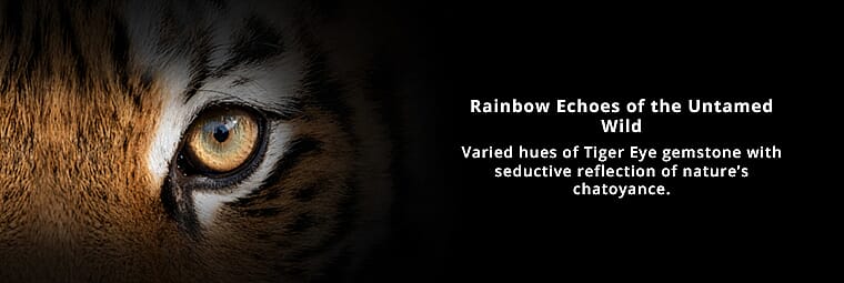 Captivating Colors that Mesmerize Your Senses Banner